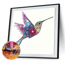 5D Partial Special Shaped Diamond Painting Hummingbird Poster Kit (UP253) Newly