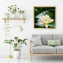 White Lotus Diamond Embroidery Painting Mosaic Picture Rhinestone Cross Stitch