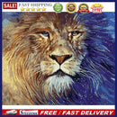 Lion Oil Paint By Numbers DIY Handpainted on Canvas Wall Art Pictures Unframed
