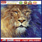Lion Oil Paint By Numbers DIY Handpainted on Canvas Wall Art Pictures Unframed