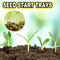 Seed Starter Tray Kit Biodegradable Gardening Germination Pulp Pots - 12 Cells