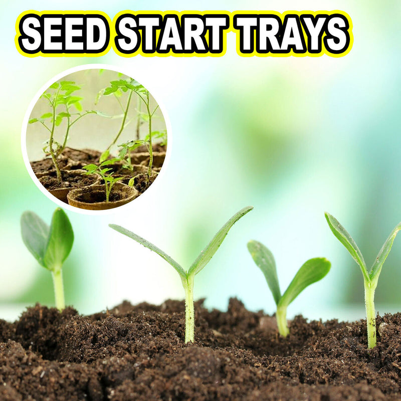 Seed Starter Tray Kit Biodegradable Gardening Germination Pulp Pots - 12 Cells