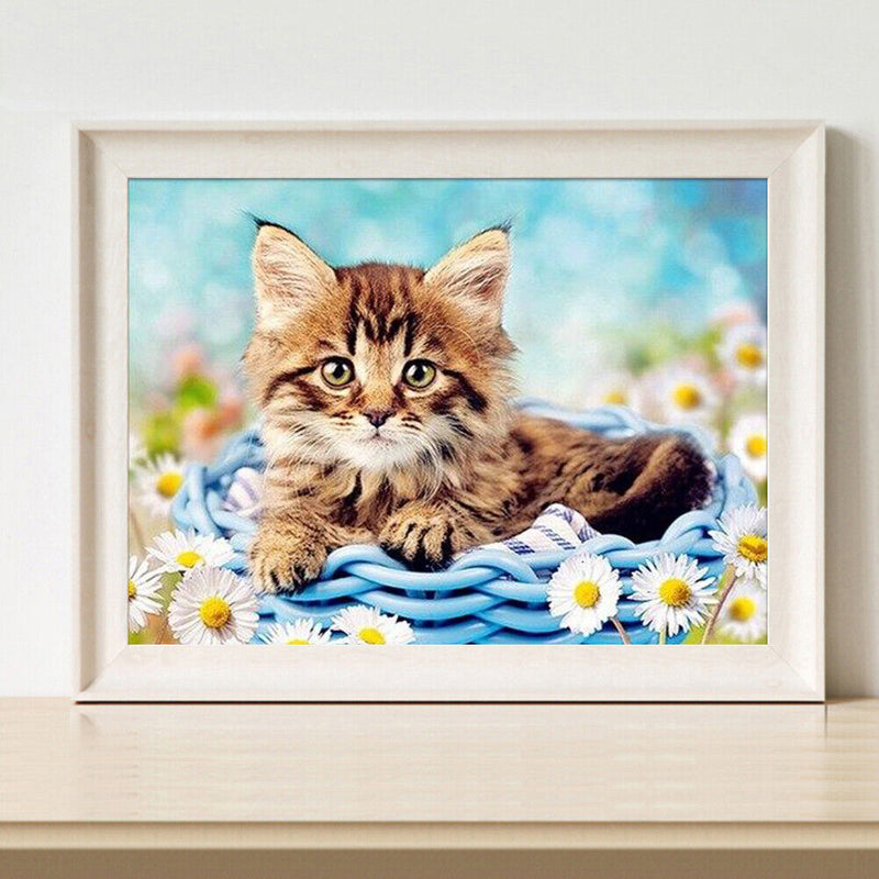 DIY Abstract Acrylic Picture Gift Cat in Basketball Digital Oil Hand Painting Kit