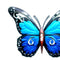 16.5cm Metal Wall Hanging Butterfly Insect Sculpture Home Wrought Iron Butter