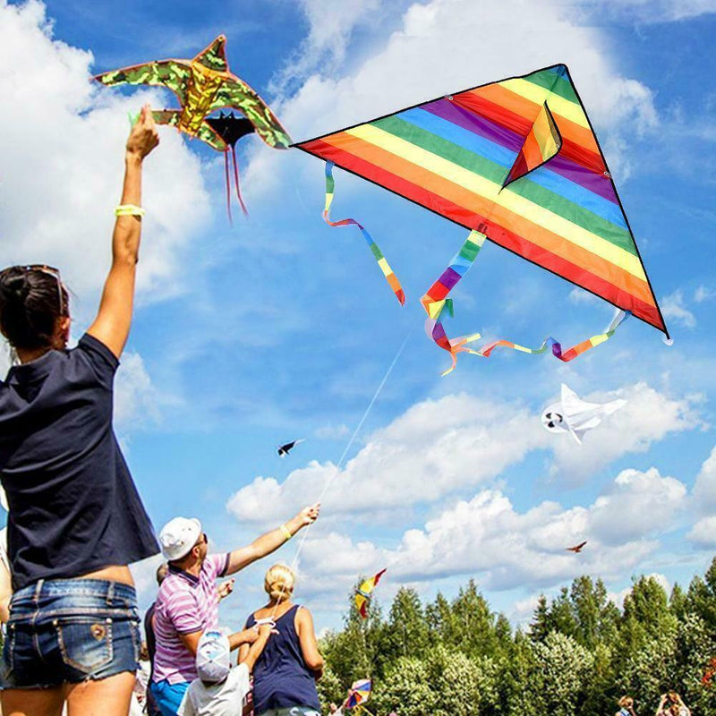 Large delta kite For kids and single adults line easy funny handle fly,kite W6S5