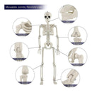 40cm Halloween Human Skeleton Halloween Garden Decoration Ornament_