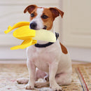 Simulation Fruit Banana Dog Chew Trainer Cute Kitten Puppies Interactive Games