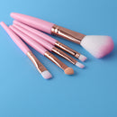 5pcs Portable Makeup Brush Set Soft Nylon Eyeshadow Foundation Brush (Pink)