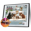 5D DIY Full Drill Diamond Painting Dogs Cat Cross Stitch Embroidery Mosaic