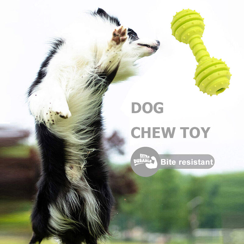 Dog Toys Pet Molar Teeth Stick Bite Sound Interactive Training Ball (Green)