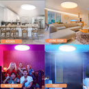 Modern Ceiling Lights PC Ceiling Lamp for Bedroom Study Kitchen Balcony Fixtures