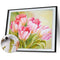 Tulip/Sunflower Oil Paint By Numbers DIY Canvas Wall Picture Craft Home Decor