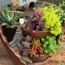 Basket Herb Bonsai Flower Pots Garden Sky Succulent Plant House Planter