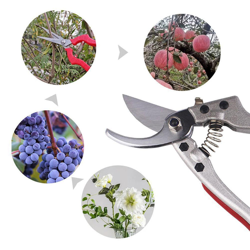 Plant Trim Garden Scissors Pruner Fruit Tree Orchard Pruning Shears Cutter