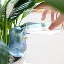 Automatic Plant Flower Self Water Tool Transparent Bird Dripper Pot (Blue)