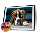 Full Round Diamond Painting DIY Kit Big Eyes Puppy 5D Rhinestone Mosaic Picture