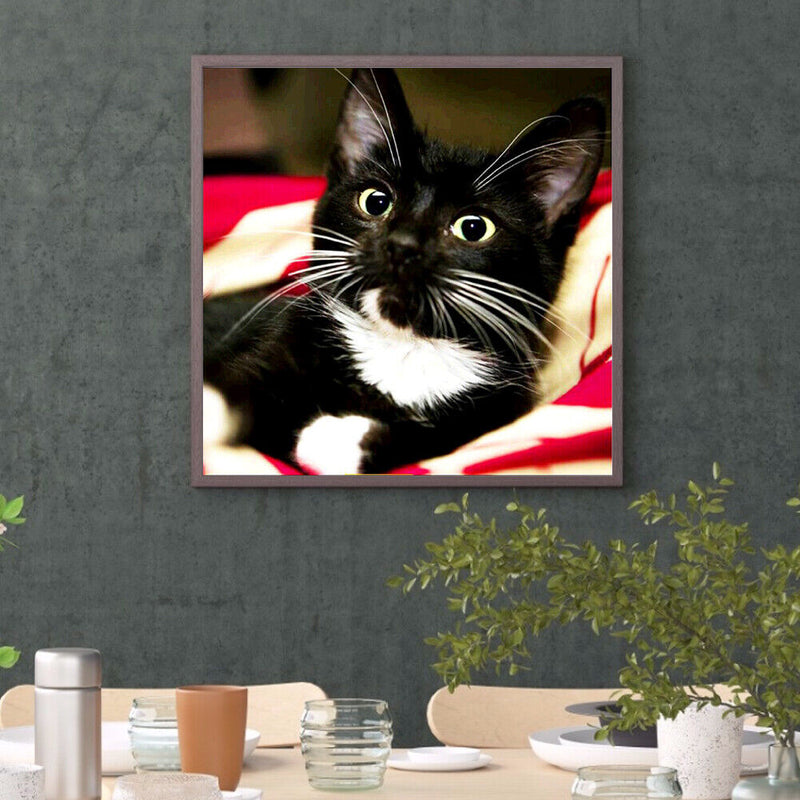 Diamond Painting Long Whisker Black Cat Full Round Wall Picture Kit 30x30cm