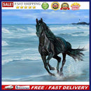 Seaside Horse Oil Paint By Numbers Kits Canvas Picture Gift for Adults Childr