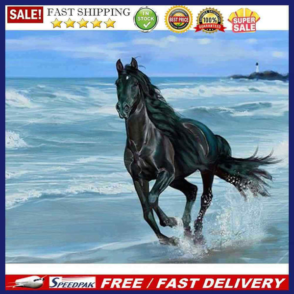Seaside Horse Oil Paint By Numbers Kits Canvas Picture Gift for Adults Childr