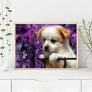 5D DIY Diamond Painting Kits Animal Full Round Drill Rhinestone Wall Art Craf