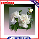 5D Diamond Painting Kit Flower out of Frame Full Round Drill Rhinestone DIY Wall