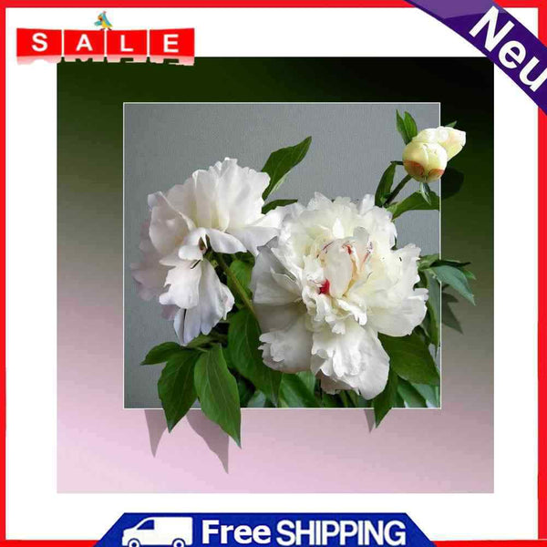 5D Diamond Painting Kit Flower out of Frame Full Round Drill Rhinestone DIY Wall
