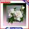 5D Diamond Painting Kit Flower out of Frame Full Round Drill Rhinestone DIY Wall