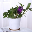 3-in-1 Soil PH Meter Flower Pot Hygrometer Tester Moisture Meter (Purple)