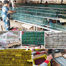 Portable Fishing Net Lobster Cage Foldable Crab Fish Catcher Trap (No.2) Newly