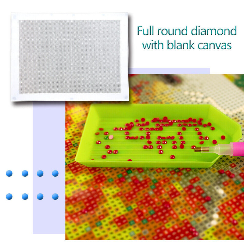 Blank Embroidery Full Round Drill Canvas DIY Diamond Painting (30x40cm) Newly