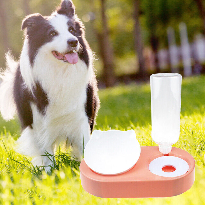 2 in 1 Pet Cat Feeder Bowl Automatic Drinking Water Dog Bowl (Orange Pink) Newly