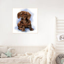 #A Waterside Cat Oil Paint By Numbers DIY Handpainted on Canvas Picture Unfram