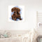 #A Waterside Cat Oil Paint By Numbers DIY Handpainted on Canvas Picture Unfram
