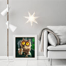 30 X 30cm Mosaic Craft Poster DIY Funny Owl Diamond Painting Picture Wall D
