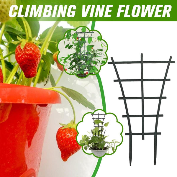 Climbing Vine Rack Plant Potted Support Frame Flower Vegetables Bracket Garden: