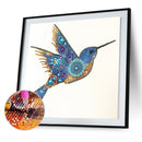 5D Partial Special Shaped Diamond Painting Hummingbird Poster Kit (UP254) Newly
