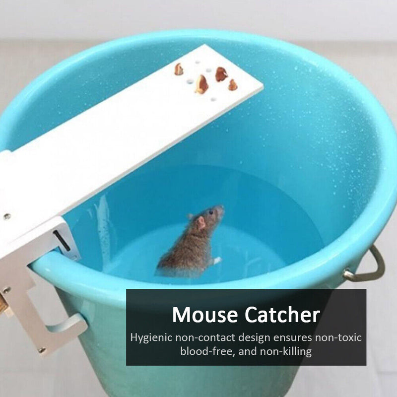 Non-toxic Rat Trap Seesaw Mouse Catcher Bait Pest Reject Killer Mice Traps