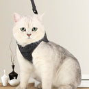 Polyester Collar Strap Escape Proof Easy Control Running with Traction Leash Set