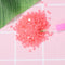 15g/Bag DIY Luminous Round Rhinestones Kit for Diamond Painting (Rose Pink)
