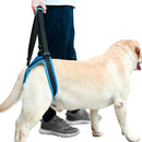 #A Adjustable Dog Leash Aid Assist Tool Lift Harness for Back Legs Pet Support