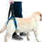 #A Adjustable Dog Leash Aid Assist Tool Lift Harness for Back Legs Pet Support