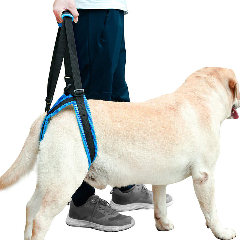 #A Adjustable Dog Leash Aid Assist Tool Lift Harness for Back Legs Pet Support