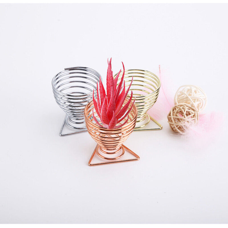 Decorations Organizer Display Stand Plant Holder Air Plants Holders Wall Hanger
