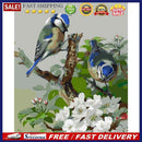 40x50cm Coloring Painting Canvas Drawing Two Blue Birds Digital Coding Pict
