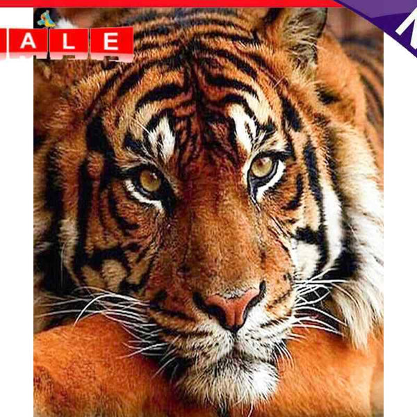 Painting By Numbers Kit DIY Quiet Tiger Hand Painted Canvas Oil Art Picture Gift