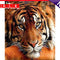 Painting By Numbers Kit DIY Quiet Tiger Hand Painted Canvas Oil Art Picture Gift
