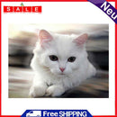 5 Round Diamond Painting Embroidery DIY Cross Stitch Craft Home Decor
