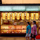 10"" Japanese Hanging Waterproof Lanterns Lucky Cat Pub Bistro Sign Lantern