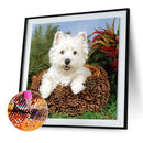 5D Full Round Drill Diamond Painting Dog diy Embroidery Animal Decor (282) Newly