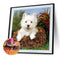 5D Full Round Drill Diamond Painting Dog diy Embroidery Animal Decor (282) Newly